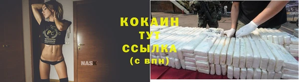 винт Лиски