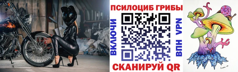 МЕГА онион  как найти   Тетюши  Галлюциногенные грибы ЛСД 